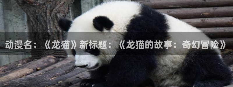 鲁邦三世vs名侦探柯南樱花动漫：动漫名：《龙猫》新标题：《龙猫的故事：奇幻冒险》