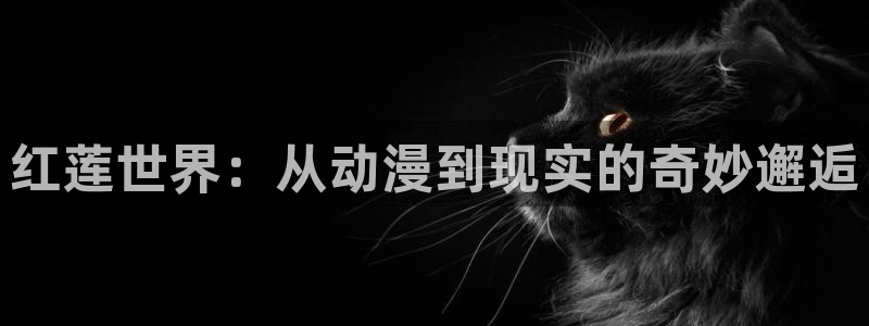 樱花动漫免费在线观看动漫：红莲世界：从动漫到现实的奇妙邂逅