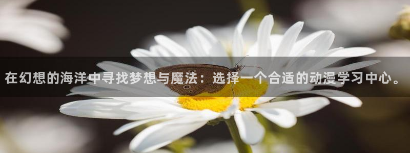 樱花动漫官网免费入口：在幻想的海洋中寻找梦想与魔法：选择一个合适的动漫学习中心。