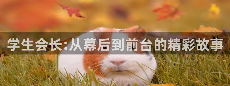 starrysky樱花动漫：学生会长:从幕后到前台的精彩故事
